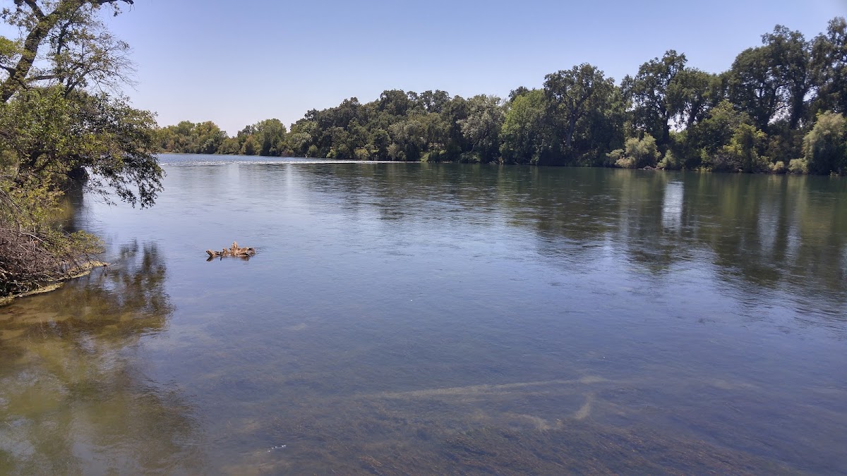 Balls Ferry Fishing Resort